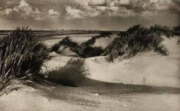 Nordseebad JUIST  Dünen Am Strand - Juist