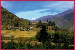 CPM Asia Bhoutan BHUTAN : Drugyel Dzong - Bután