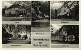 FRIEDRICHSRUH IM SACHSENWALD - Lauenburg