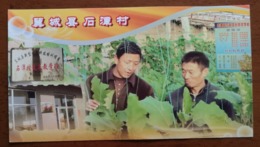 New Farmer Science Technology Training Project,CN 09 Jicheng County Shitancun Vegetable Base Advert Pre-stamped Card - Groenten