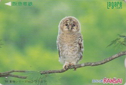 Carte Prépayée JJAPON - Animal -  Oiseau HIBOU - OWL Bird JAPAN Prepaid Lagare Ticket Card - EULE Vogel Karte - 4313 - Owls