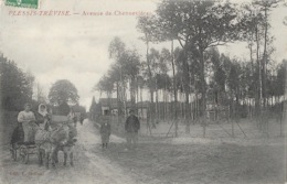 Le Plessis-Trévise (Seine-et-Oise) - Avenue De Chennevières, Attelage - Edition Deltour - Le Plessis Trevise