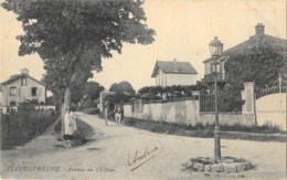 Le Plessis-Trévise (S-et-O.) - Avenue Du Château, Attelage - Edition Perdriau - Le Plessis Trevise