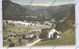 7868 TODTNAU - FAHL, Dorfansicht 1921 - Todtnau