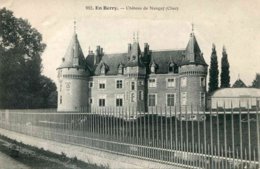 982.  CHÂTEAU DE NANCAY - Nançay