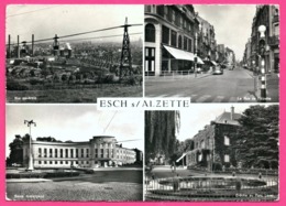 Cp Dentelée - Esch Sur Alzette - Multivues - Vue Générale - Crèche - Bains - Vieilles Voitures - Edit. PAUL KRAUS - Esch-Alzette