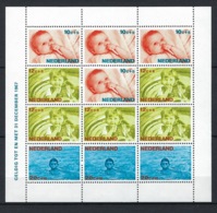 Pays Bas, Nederland, Bloc, N° 5 ** TB - Blocks & Sheetlets