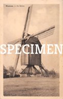 De Molen - Westrem - Wetteren