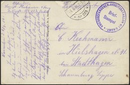 LETTLAND 2135I BRIEF, K.D. FELDPOSTSTATION NR. 223 **, Type I, 6.9.16, Auf Ansichtskarte - Latvia