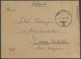 FELDPOST II. WK BELEGE 1943, FLORIN GEYER 8. SS KAVALLERIE DIVISION, FP-Nr. 25315D, Feldpostbrief Vom Rußland-Einsatz, P - Occupazione 1938 – 45