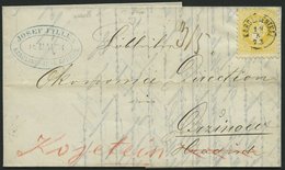 ÖSTERREICH 35I BRIEF, 1873, 2 Kr. Gelb, Grober Druck, Mit Fingerhutstempel KAROLINENTHAL (Klein 2069b) Auf Drucksache Na - Otros & Sin Clasificación