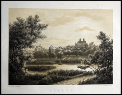 VIBORG (Viborg), Gesamtansicht, Lithographie Mit Tonplatte Von J. Hellesen Nach J.P. Müller Bei Emil Baerentzen, 1856 - Litografía
