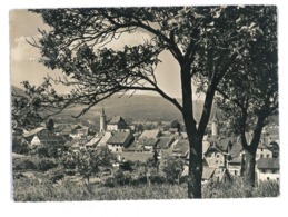 CPSM SUISSE CHATEAU DE BOUDRY - Boudry