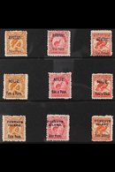 BIRDS - 1903 OVERPRINTED STAMPS OF NEW ZEALAND  The 3d Hula, 6d Brown Kiwi And 1s Kea & Kaka Mint Sets For AITUTAKI (SG  - Unclassified
