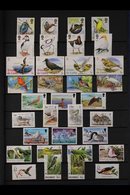 BIRDS ON STAMPS.  A Beautiful Never Hinged Mint Collection In A Stock Book And Album, Chiefly 1980's / 90's. Beautiful!  - Zonder Classificatie