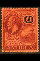 1921-29  £1 Purple And Black / Red, SG 61, Mint Very Lightly Hinged (so Lightly Hinged It Was Previously Purchased As Ne - Sonstige & Ohne Zuordnung