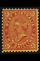 WESTERN AUSTRALIA  1902-11 2s Bright Red On Yellow, Perf. 11, SG 134, Fine Mint, Tiny Black Ink Spot At Tipper Left For  - Other & Unclassified