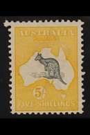 1913  5s Grey And Yellow, Kangaroo, SG 13, Very Fine And Fresh Mint. For More Images, Please Visit Http://www.sandafayre - Andere & Zonder Classificatie