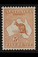 1913-14  5d Chestnut Roo, SG 8, Very Fine Mint, Nice Centring, Very Fresh. For More Images, Please Visit Http://www.sand - Other & Unclassified
