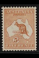 1913-14  5d Chestnut Roo, SG 8, Very Fine Mint, Nice Centring, Very Fresh. For More Images, Please Visit Http://www.sand - Otros & Sin Clasificación