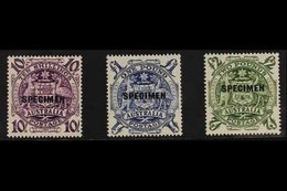 1948-56  10s, £1, And £2 Arms Overprinted "SPECIMEN", SG 224bs/224ds, Never Hinged Mint (3 Stamps) For More Images, Plea - Other & Unclassified