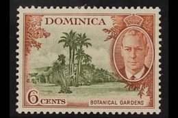 1951  6c Olive And Chestnut, Variety "A Of CA Missing From Wmk", SG 126b, Very Fine Mint Og. For More Images, Please Vis - Dominica (...-1978)