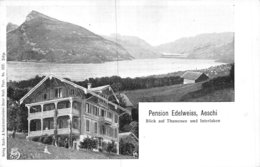 A-19-5154 : PENSION ELDELWEISS. AESCHI. - Aeschi Bei Spiez