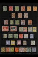 1883-1911 OLD TIME MINT COLLECTION  Presented On A Stock Page That Includes 1883-92 1d Rose, Others To 2s And 5s, 1889-9 - Giamaica (...-1961)