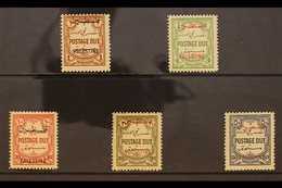 OCCUPATION OF PALESTINE  POSTAGE DUE. 1948 Multi Script Wmk - Perf 14 Set, SG PD 17/21,, The Scarce 10m Being Never Hing - Jordan