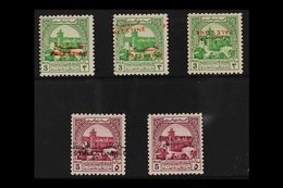 JORDANIAN OCCUPATION  VARIETIES 1949 Obligatory Tax Overprints Superb Mint Group Of All Different Overprint Errors, Incl - Palestine