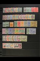 1903-35 FINE MINT RANGES  Incl. 1903 To 2s, 1905-18 Incl. Better Colours And Chalky Papers Incl. All 6d Shades, Both As  - St.Kitts E Nevis ( 1983-...)