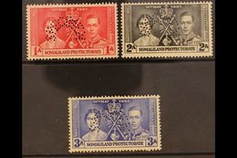 1937 CORONATION SPECIMENS.  A Coronation Set, Perforated "Specimen", SG 40s/42s, Very Fine Mint. (3 Stamps) For More Ima - Somaliland (Protectorat ...-1959)