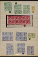 CAPE OF GOOD HOPE.  1902-1904 MINT, NEVER HINGED MINT & USED KEVII Ranges (mostly Mint & Nhm) Presented On A Double Side - Sin Clasificación