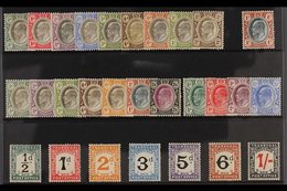 TRANSVAAL  1902-09 KEVII FINE MINT RANGES That Includes The 1902 Set To 2s, 1903 1s, 1904-09 To 1s And 2s.6d, 1905-09 Se - Zonder Classificatie