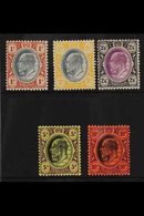 TRANSVAAL  1904 1s - 10s, Wmk MCA, Ed VII, SG 267/71, Very Fine Mint. (5 Stamps) For More Images, Please Visit Http://ww - Unclassified