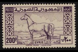 1946-47  200pi Deep Reddish Purple Air Post "Arab Horse", SG 432, Never Hinged Mint For More Images, Please Visit Http:/ - Siria