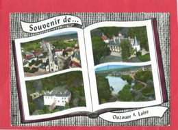 CPSM Grand Format - Ouzouer Sur Loire   -(Loiret) - Place De L'église-L'Orme-Les Gués-Dampierre En Burly:l'étang (livre) - Ouzouer Sur Loire