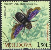 2009 - MOLDAVIA / MOLDOVA - INSETTI / INSECTS - USATO / USED - Moldova