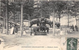 Thème  Exposition Coloniale. Nogent Sur Marne 1907     Éléphants Dressés    (voir Scan) - Esposizioni