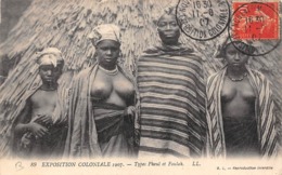 Thème  Exposition Coloniale. Nogent Sur Marne 1907    Femmes Seins Nus Types Pheul Et Foulah     (voir Scan) - Esposizioni