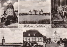AK Moritzburg - Mehrbildkarte - Schloss Adams Gasthof (44020) - Moritzburg