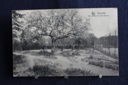 G-129 /  Marneffe, Les Jardins De  1ère Division   / Circulé  1920 - Burdinne