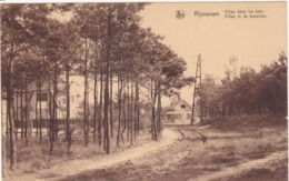 41736 -    Rijmenam  Villas  Dans  Les  Bois - Bonheiden