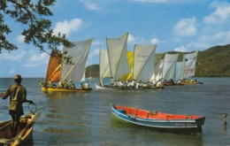 Lot De 3 Cartes De La Martinique - Le Marin