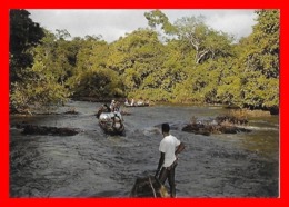 CPSM/gf MARONI (Guyane Française)  Abattis Cottica. Passage De Pirogues, Animé..*2584 - Saint Laurent Du Maroni