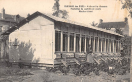 80-ABBEVILLE- ELEVAGE DES PRES- POULAILLER DE CONTRÔLE DE PONTE RHODES-ISLAND - Abbeville