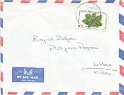 Cyprus 1983 Gazi Magusa Poisonous Medicinal Plant Mandragora Officinarum Cover - Brieven En Documenten