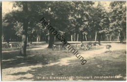 Berlin-Siemensstadt - Volkspark Jungfernheide - Rehe - Foto-Ansichtskarte 30er Jahre - Spandau