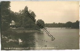 Berlin-Siemensstadt - Volkspark Jungfernheide - Foto-Ansichtskarte 30er Jahre - Spandau