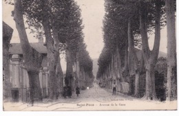 SAINT PONS(ARBRE) - Saint-Pons-de-Thomières
